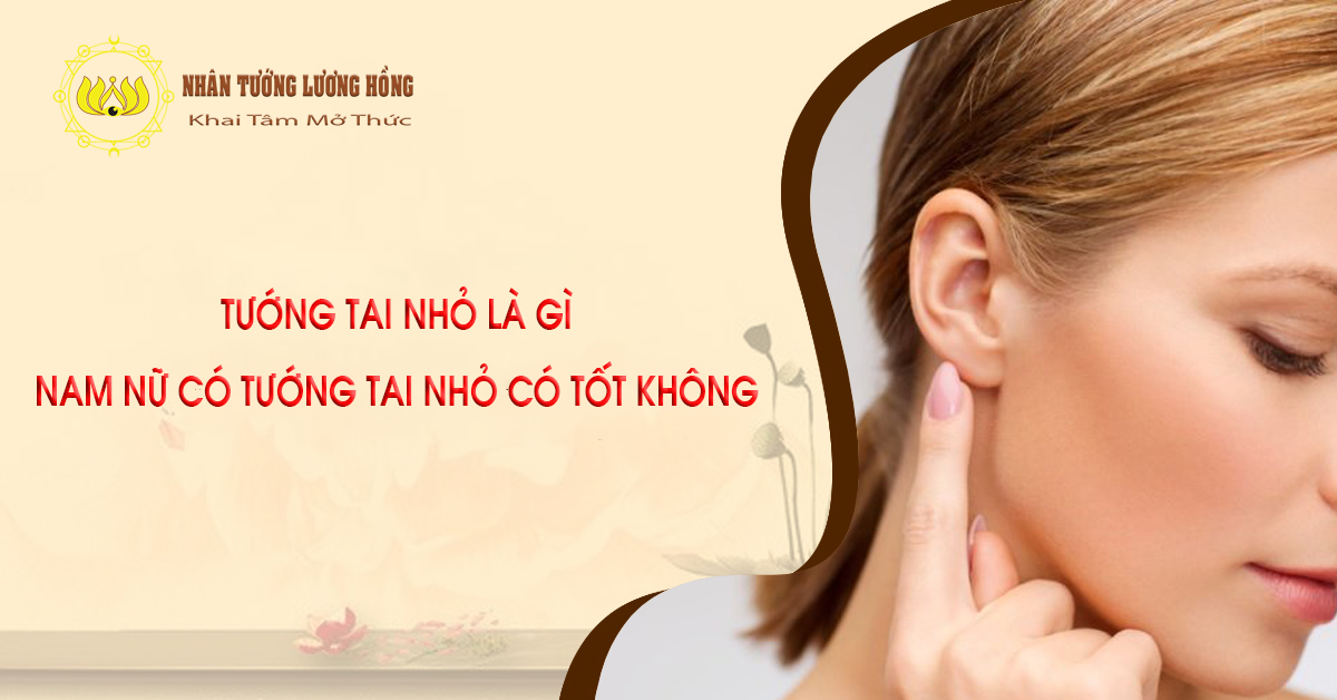 Tướng tai nhỏ là gì, nam nữ có tướng tai nhỏ có tốt không