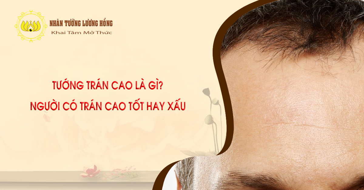 Tướng trán cao là gì? người có trán cao tốt hay xấu