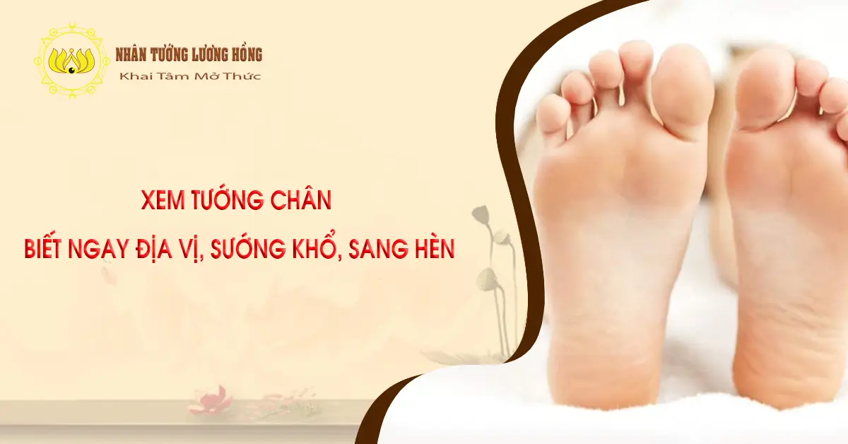 XEM TƯỚNG CHÂN  BIẾT NGAY ĐỊA VỊ, SƯỚNG KHỔ, SANG HÈN