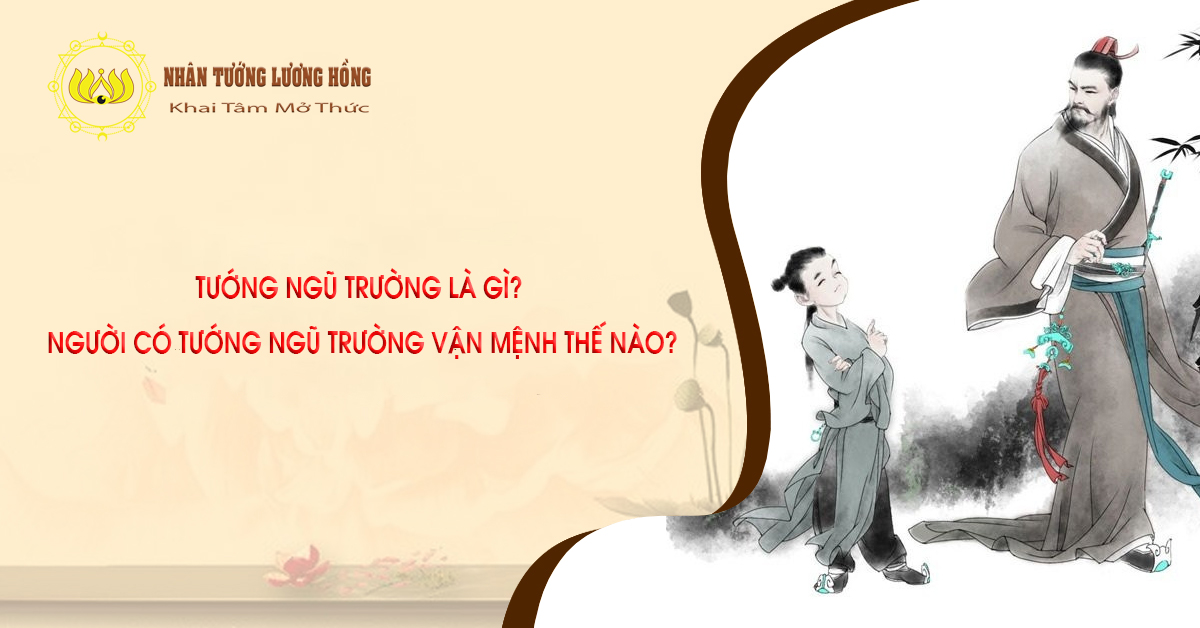 TƯỚNG NGŨ TRƯỜNG LÀ GÌ?  NGƯỜI CÓ TƯỚNG NGŨ TRƯỜNG VẬN MỆNH THẾ NÀO?