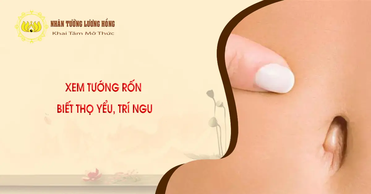 XEM TƯỚNG RỐN  BIẾT THỌ YỂU, TRÍ NGU