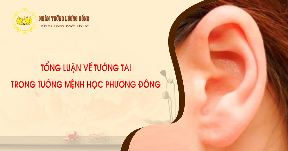 TỔNG LUẬN VỀ TƯỚNG TAI TRONG TƯỚNG MỆNH HỌC PHƯƠNG ĐÔNG