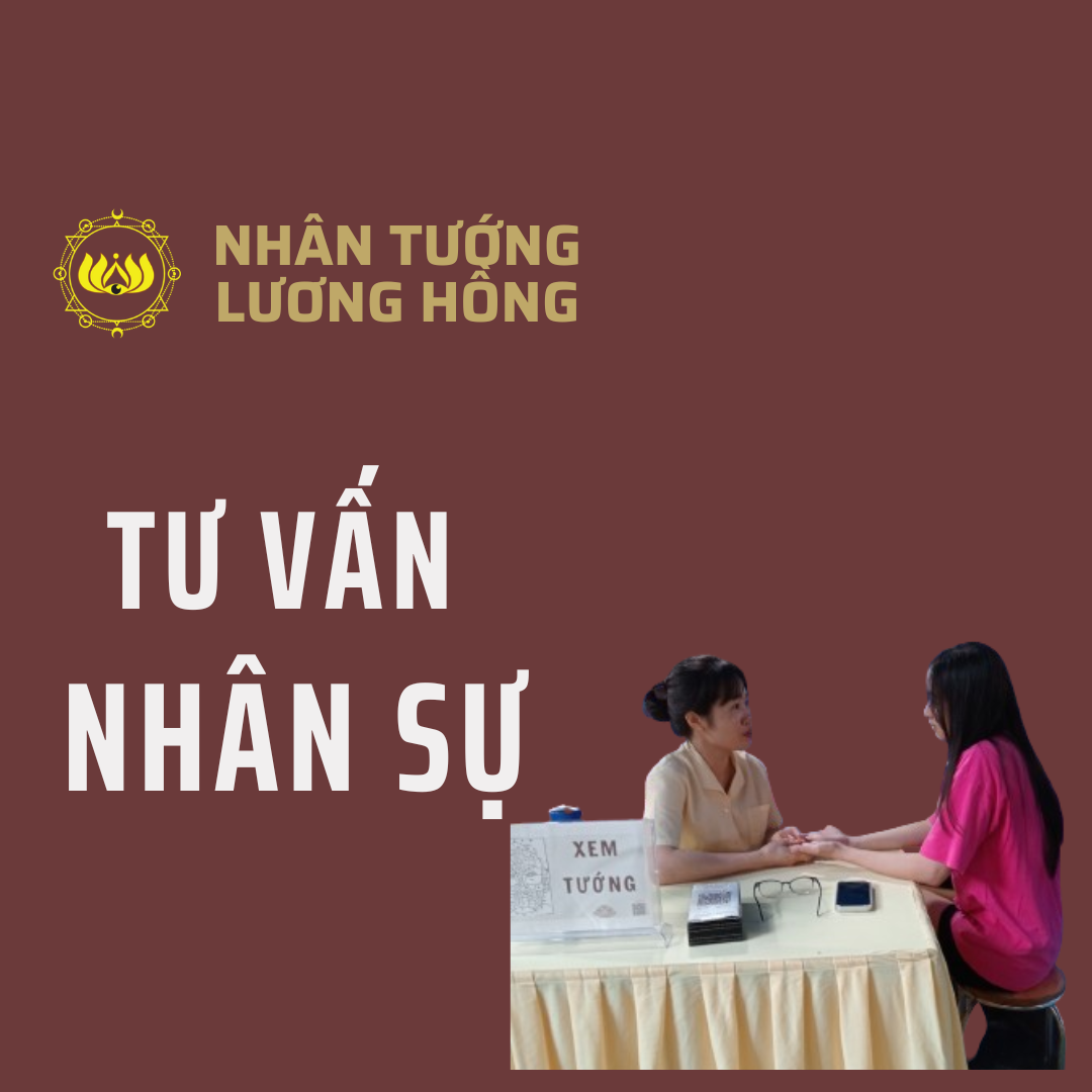 Tư vấn nhân sự