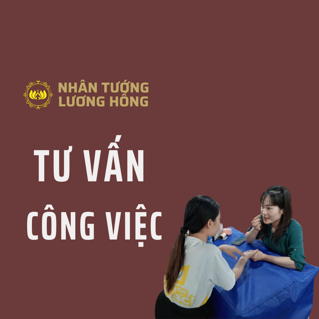 Tư vấn công việc