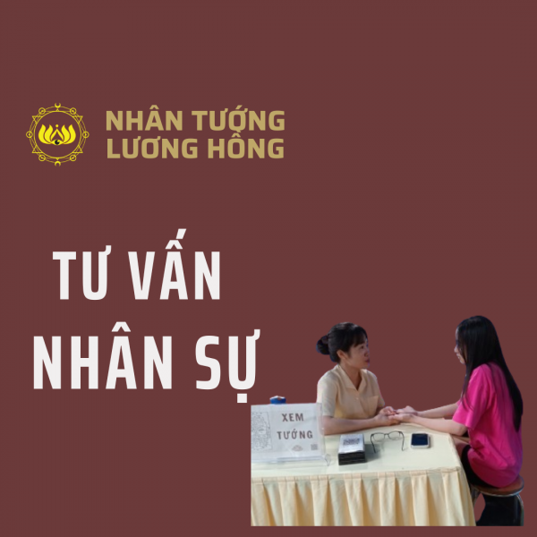 Tư vấn nhân sự