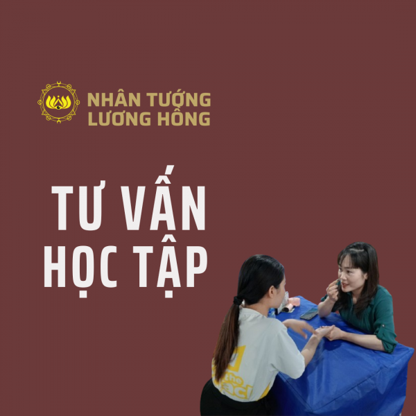 Tư vấn học tập